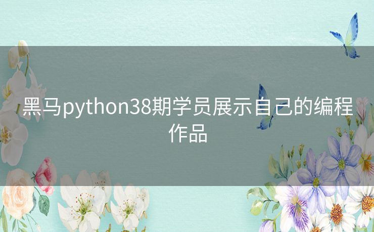 黑马python38期学员展示自己的编程作品