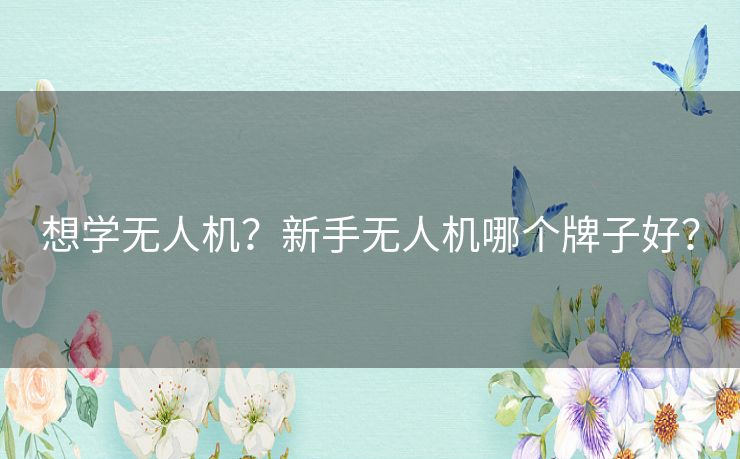 想学无人机？新手无人机哪个牌子好？