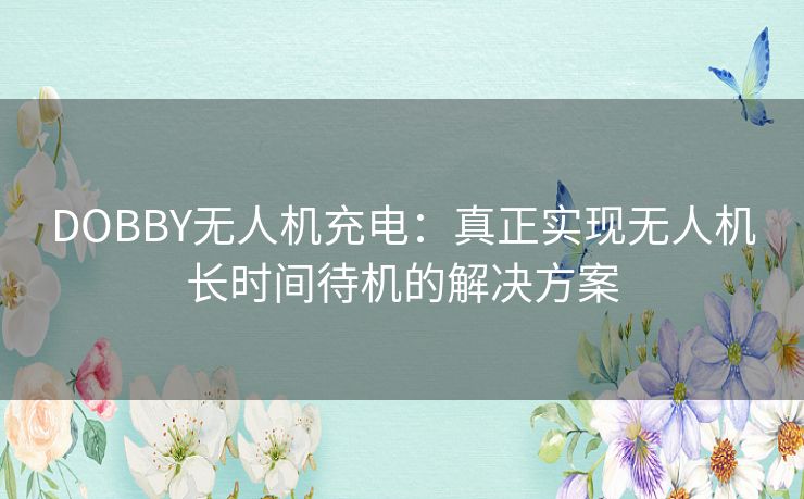 DOBBY无人机充电：真正实现无人机长时间待机的解决方案