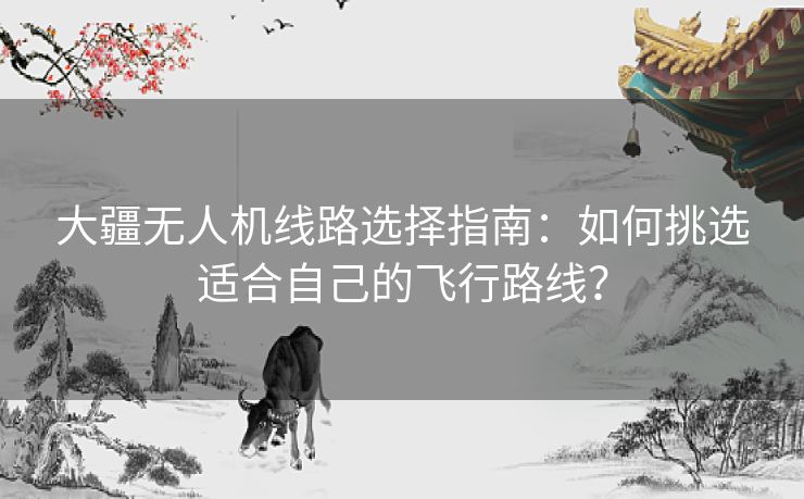 大疆无人机线路选择指南：如何挑选适合自己的飞行路线？