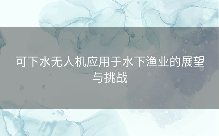 可下水无人机应用于水下渔业的展望与挑战