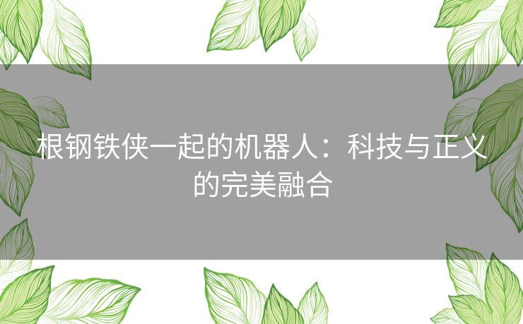 根钢铁侠一起的机器人：科技与正义的完美融合