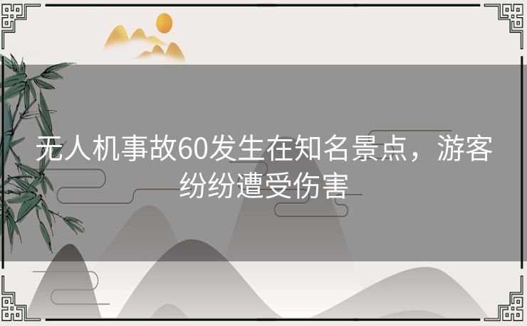 无人机事故60发生在知名景点，游客纷纷遭受伤害