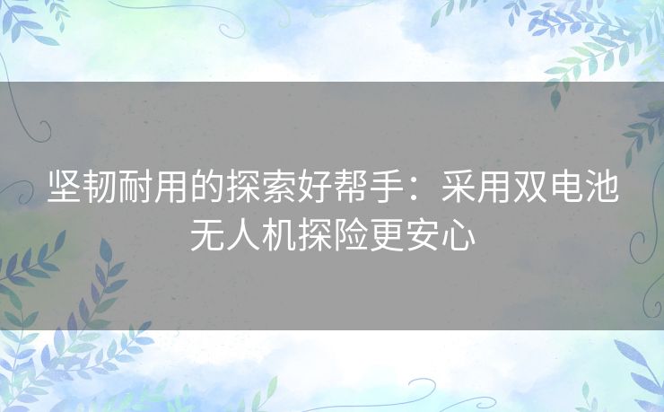 坚韧耐用的探索好帮手：采用双电池无人机探险更安心