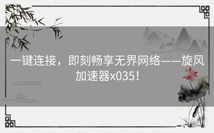 一键连接，即刻畅享无界网络——旋风加速器x035！