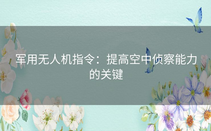 军用无人机指令：提高空中侦察能力的关键