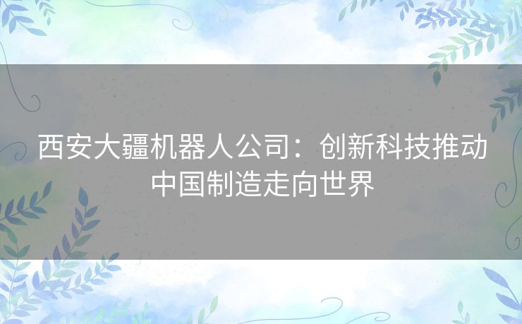 西安大疆机器人公司：创新科技推动中国制造走向世界