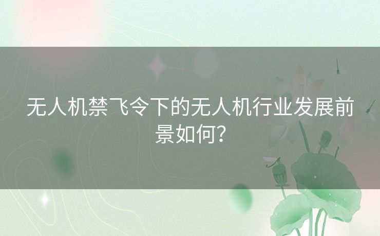 无人机禁飞令下的无人机行业发展前景如何？