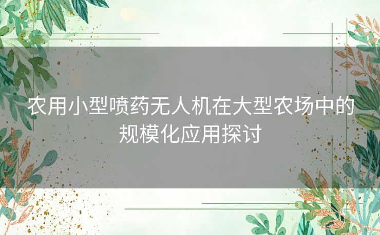 农用小型喷药无人机在大型农场中的规模化应用探讨