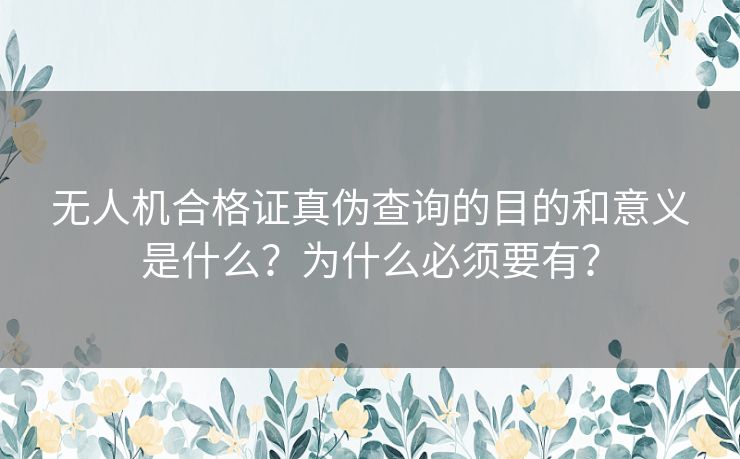 无人机合格证真伪查询的目的和意义是什么？为什么必须要有？