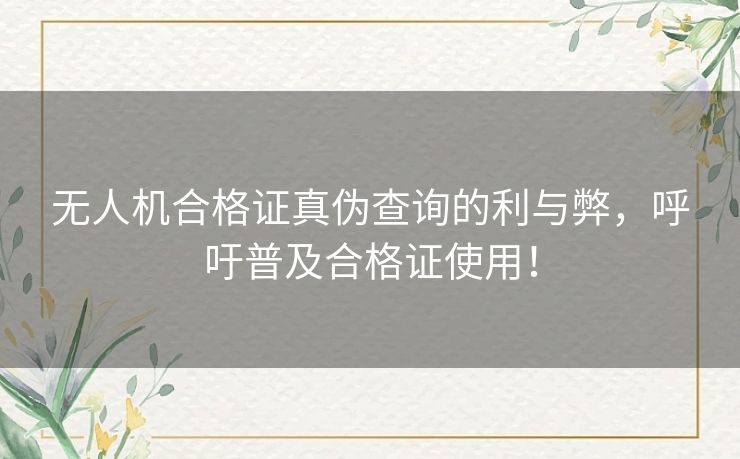 无人机合格证真伪查询的利与弊，呼吁普及合格证使用！