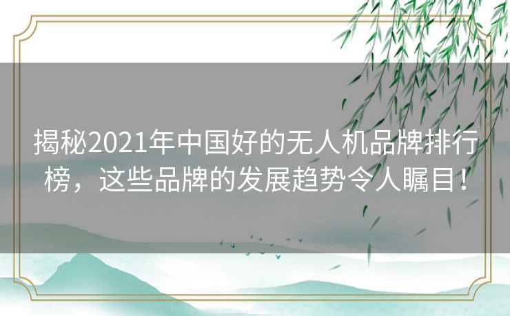 揭秘2021年中国好的无人机品牌排行榜，这些品牌的发展趋势令人瞩目！