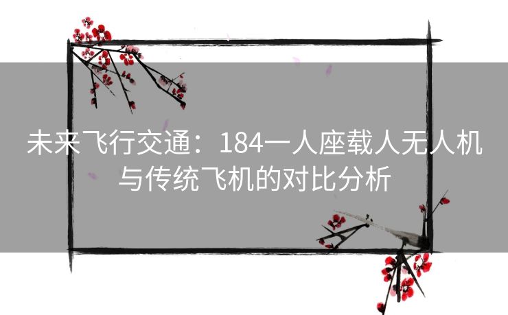 未来飞行交通：184一人座载人无人机与传统飞机的对比分析