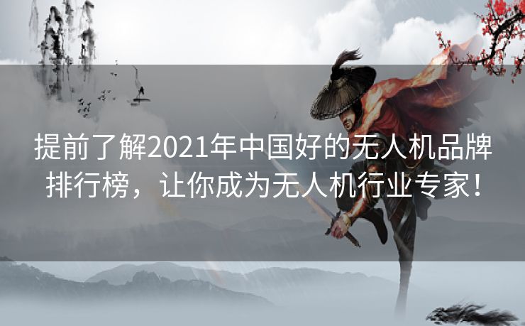 提前了解2021年中国好的无人机品牌排行榜，让你成为无人机行业专家！