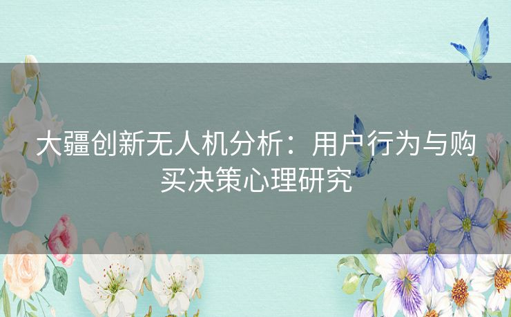 大疆创新无人机分析：用户行为与购买决策心理研究