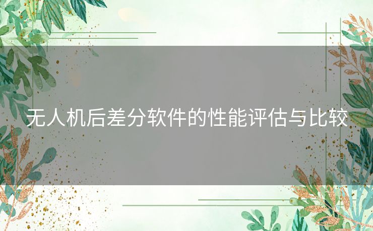 无人机后差分软件的性能评估与比较