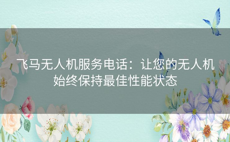 飞马无人机服务电话：让您的无人机始终保持最佳性能状态