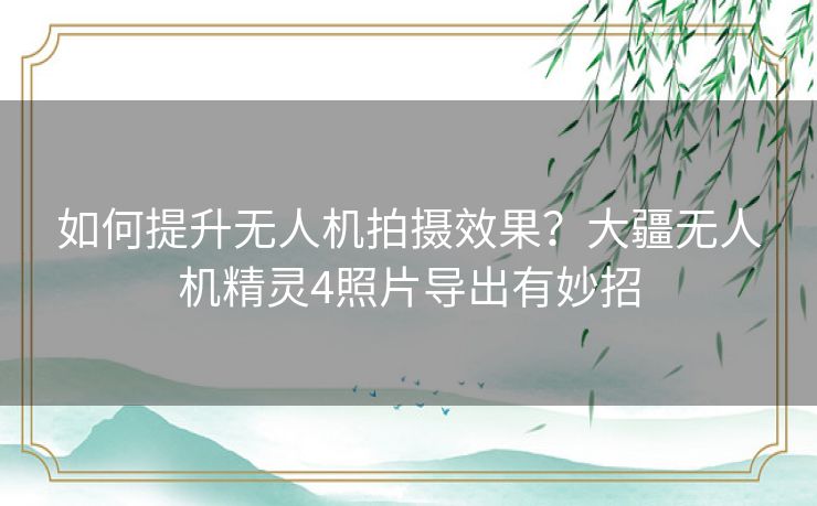 如何提升无人机拍摄效果？大疆无人机精灵4照片导出有妙招