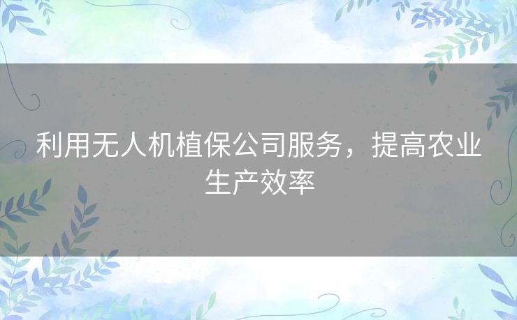 利用无人机植保公司服务，提高农业生产效率