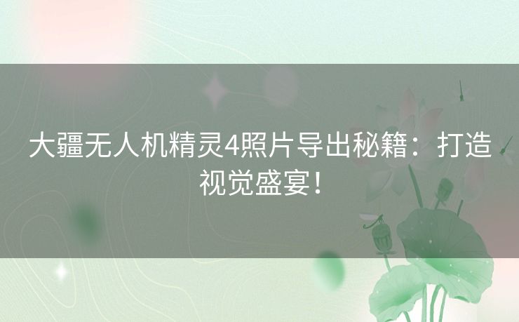 大疆无人机精灵4照片导出秘籍：打造视觉盛宴！