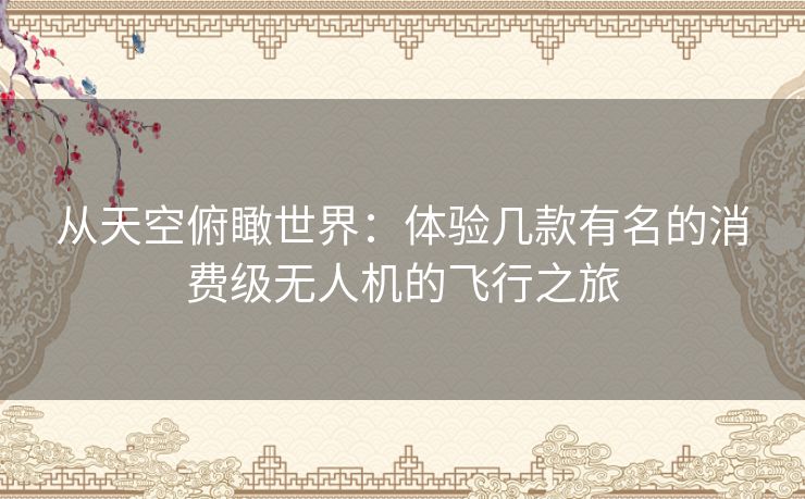 从天空俯瞰世界：体验几款有名的消费级无人机的飞行之旅