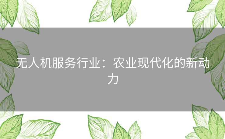 无人机服务行业：农业现代化的新动力