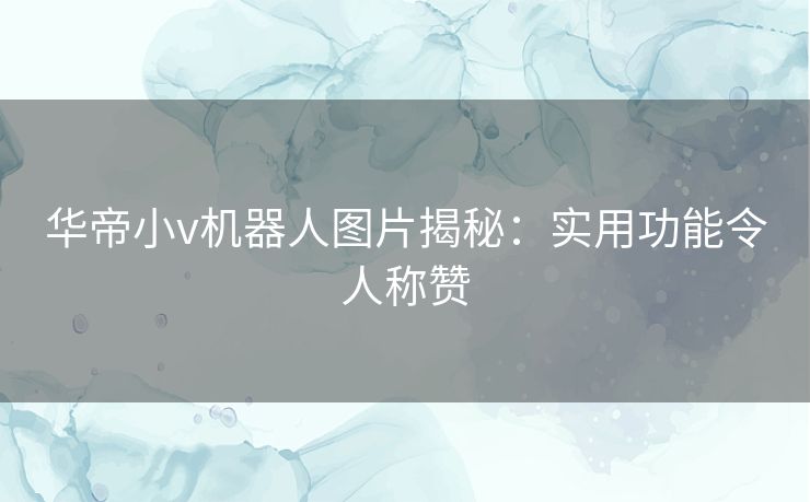 华帝小v机器人图片揭秘：实用功能令人称赞