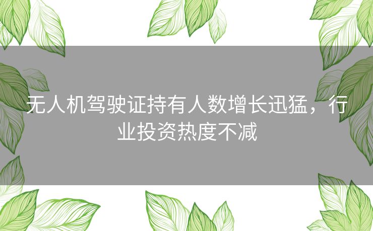 无人机驾驶证持有人数增长迅猛，行业投资热度不减