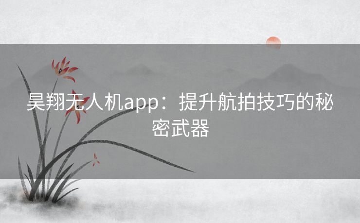 昊翔无人机app：提升航拍技巧的秘密武器