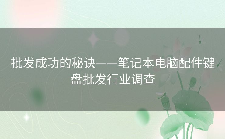 批发成功的秘诀——笔记本电脑配件键盘批发行业调查