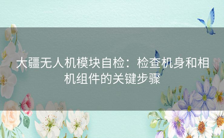 大疆无人机模块自检：检查机身和相机组件的关键步骤