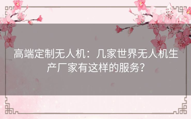 高端定制无人机：几家世界无人机生产厂家有这样的服务？