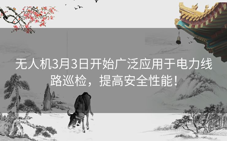 无人机3月3日开始广泛应用于电力线路巡检，提高安全性能！